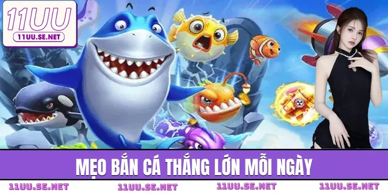 ban-ca-my-nhan-meo-choi