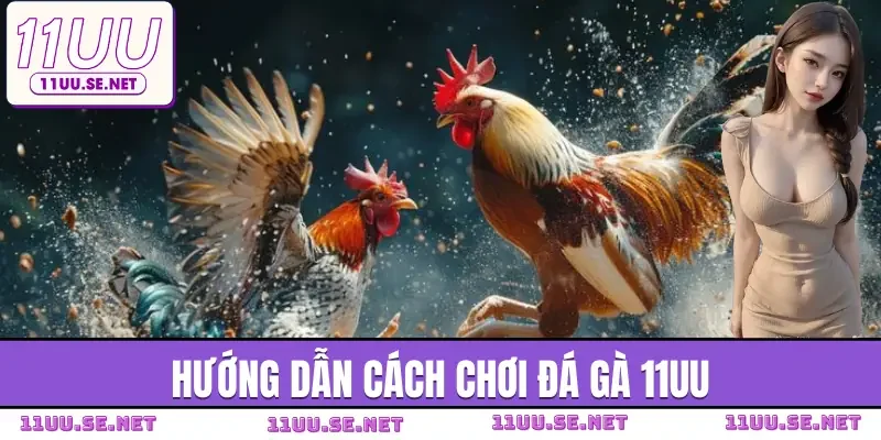 da-ga-11uu-huong-dan
