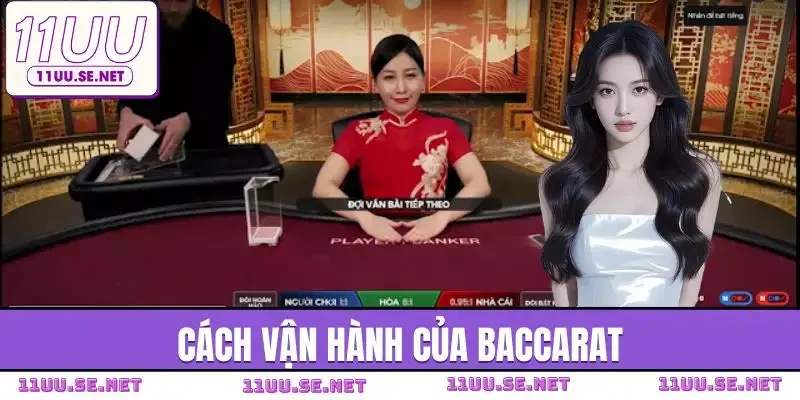 luat-choi-baccarat-cach-van-hanh